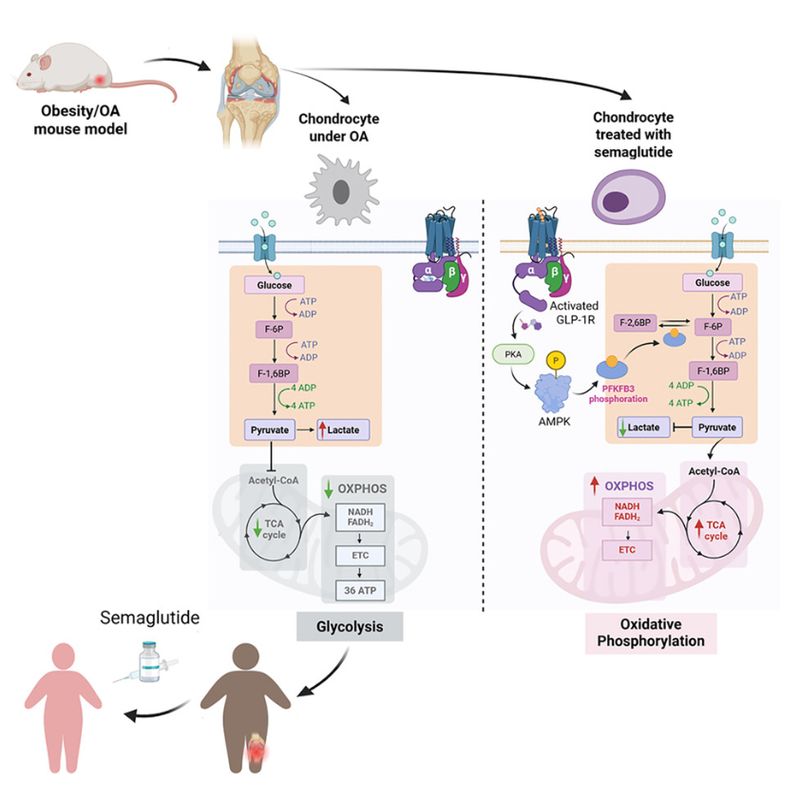1772693830.jpg 微信图片_2026-03-05_145325_391.jpg